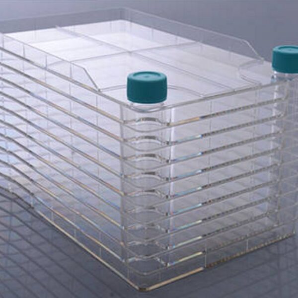 NEST - Cell Biology - BioFactory™