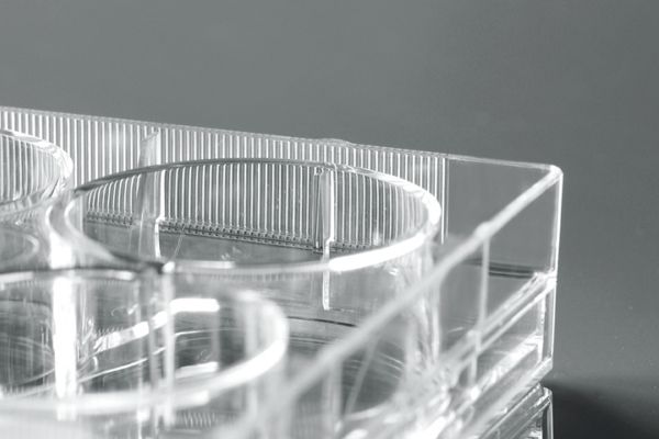 NEST - Cell Biology - Cell Culture Plates