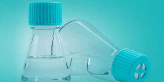 NEST - Cell Biology - Erlenmeyer Flasks