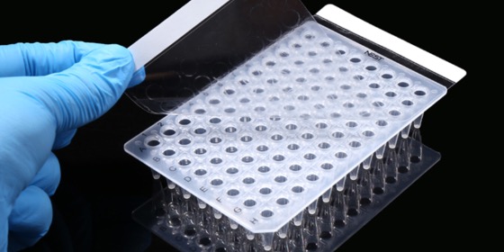 NEST - Cell Biology - PCR Sealing Films