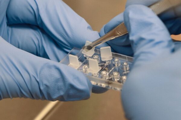 Image_Product_Ibidi_80326_1000x665_JPG_02 Image_Product_Ibidi_80326_1000x665_JPG_02