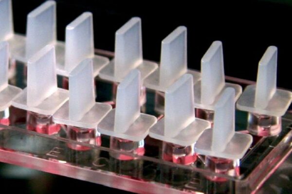 Image_Product_Ibidi_80326_1000x665_JPG_03 Image_Product_Ibidi_80326_1000x665_JPG_03