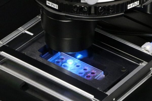 Image_Product_Ibidi_81506_1000x665_JPG_03 Image_Product_Ibidi_81506_1000x665_JPG_03