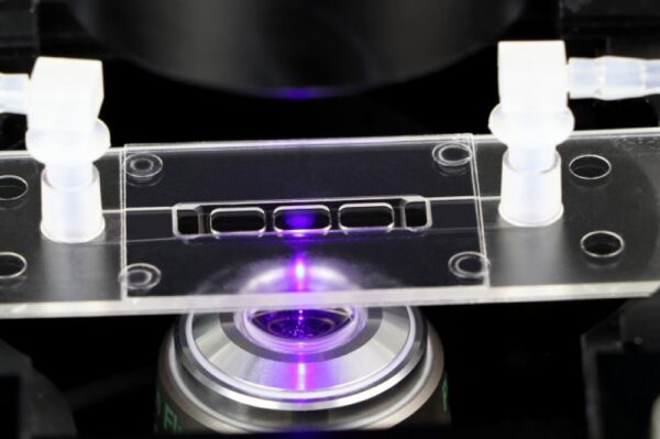 Image_TEC_INS_Ibidi_SlideLuer3D_1000x665_02_JPG Image_TEC_INS_Ibidi_SlideLuer3D_1000x665_02_JPG