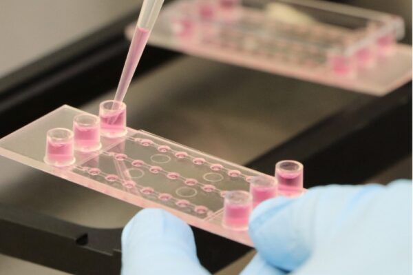 Image_TEC_INS_Ibidi_SlideSpheroidPerfusion_1000x665_02_JPG Image_TEC_INS_Ibidi_SlideSpheroidPerfusion_1000x665_02_JPG