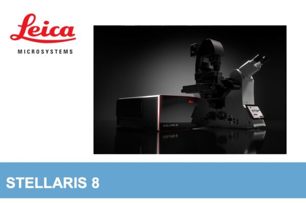 Image_TEC_INS_Leica_ConfocalMicroscop_15_1000x665_JPG (1) Image_TEC_INS_Leica_ConfocalMicroscop_15_1000x665_JPG (1)