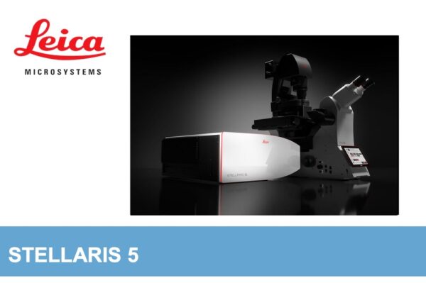 Image_TEC_INS_Leica_ConfocalMicroscopesen_16_1000x665_JPG,1 (1) Image_TEC_INS_Leica_ConfocalMicroscopesen_16_1000x665_JPG,1 (1)