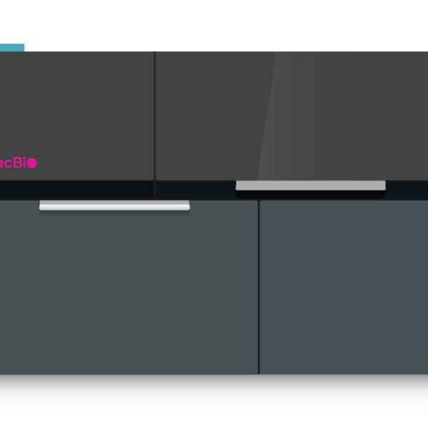Pacbio – Short-read Sequencing – Onso System