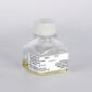 comp_Image_INS_Corning_GentamicinSulfate_1000×665_JPG,1