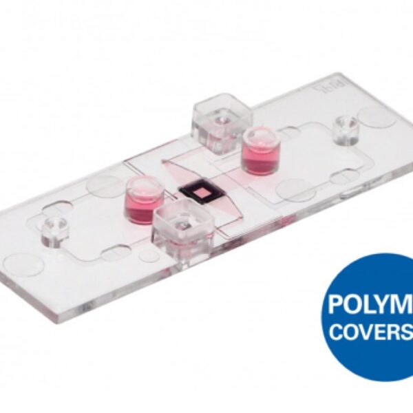 Ibidi - Labware - µ-Slide Membrane ibiPore Flow