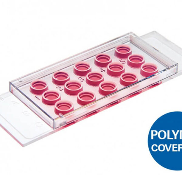 Ibidi - Labware - µ-Slide Angiogenesis